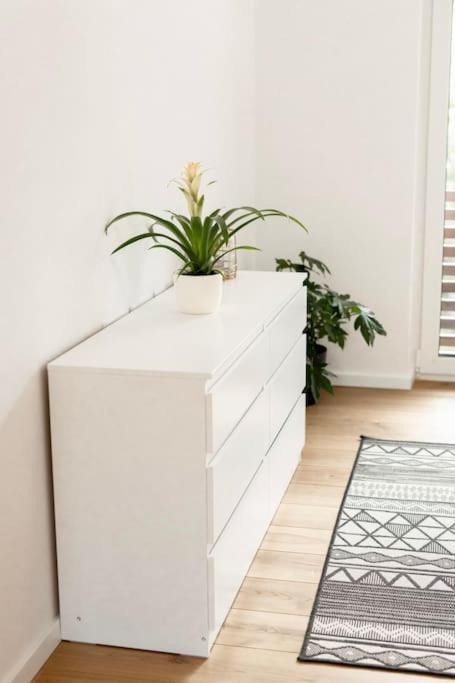 Aura Apartments Zirovnica Εξωτερικό φωτογραφία